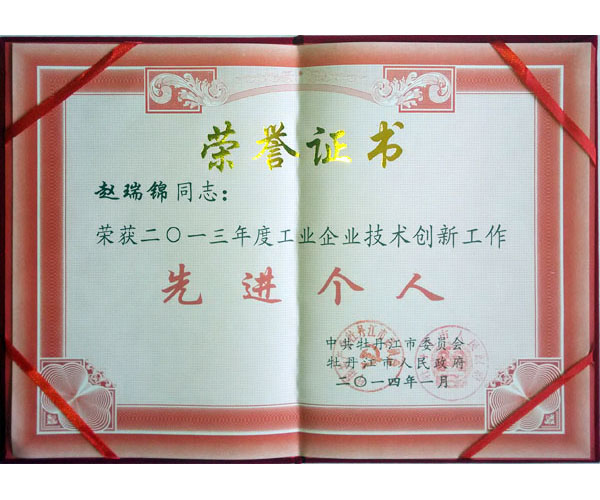 2013年先進(jìn)個(gè)人榮譽(yù)證書(shū)